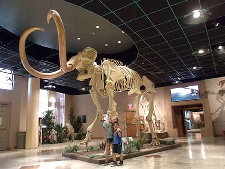 Mesa Museum of Natural History